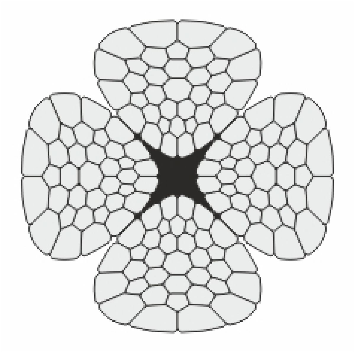 python-acelsodronykotel-4-Runner.jpg