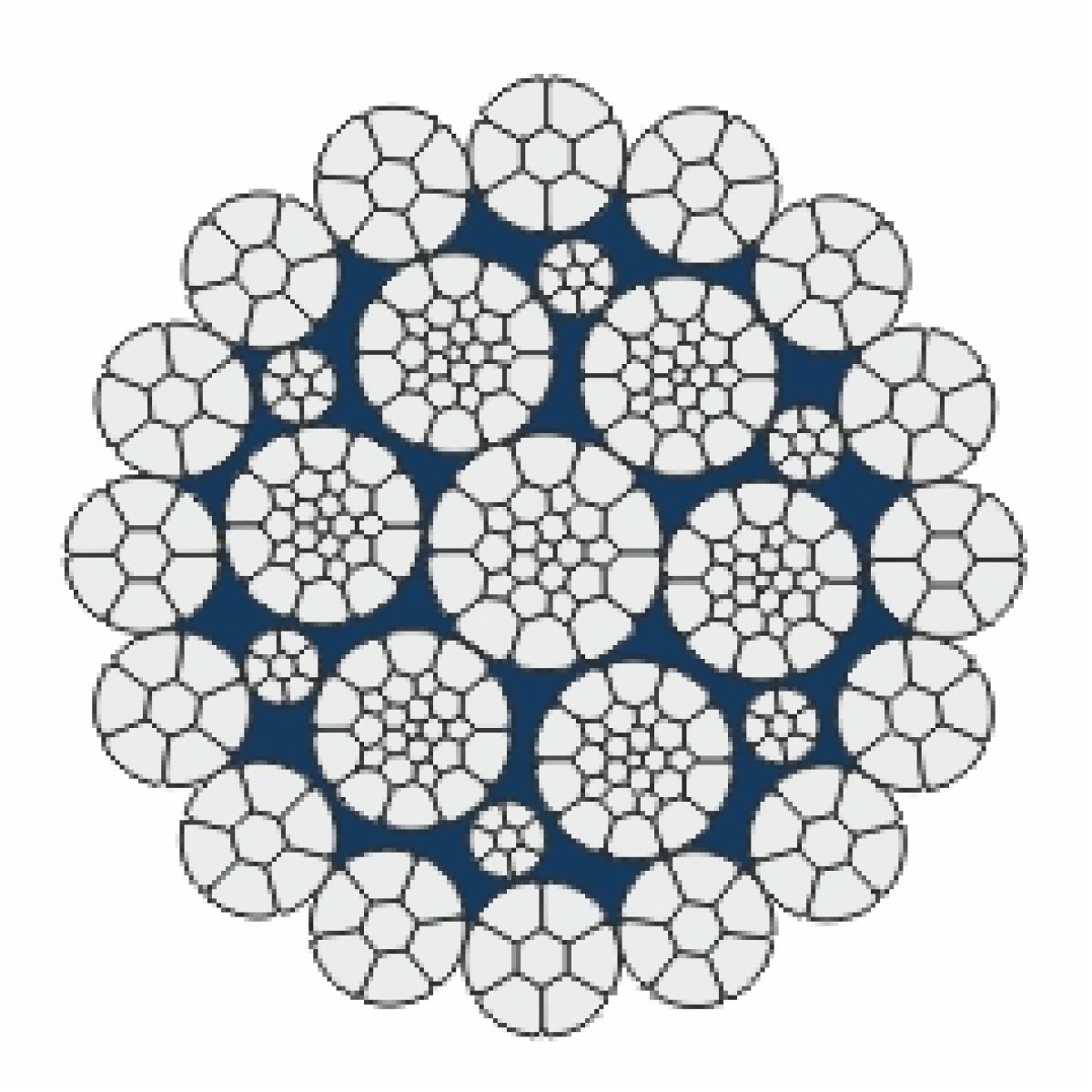 python-acelsodronykotel-Dynamic.jpg