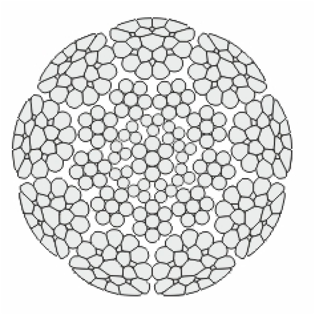 python-acelsodronykotel-Power-9.jpg