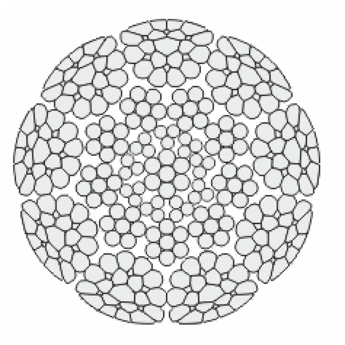 python-acelsodronykotel-Power-9.webp
